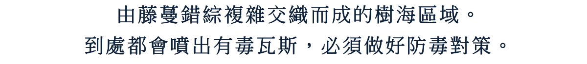 由藤蔓錯綜複雜交織而成的樹海區域。